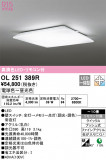 ODELIC ǥå 󥰥饤 OL251389RþʾLEDη¡ʰΡѤ䡡Ҹ -LIGHTING DEPOT-