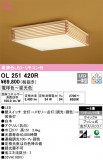 ODELIC ǥå 󥰥饤 OL251420RþʾLEDη¡ʰΡѤ䡡Ҹ -LIGHTING DEPOT-