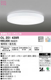 ODELIC ǥå 󥰥饤 OL251439RþʾLEDη¡ʰΡѤ䡡Ҹ -LIGHTING DEPOT-