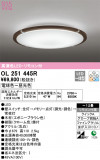 ODELIC ǥå 󥰥饤 OL251445RþʾLEDη¡ʰΡѤ䡡Ҹ -LIGHTING DEPOT-