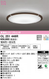 ODELIC ǥå 󥰥饤 OL251446RþʾLEDη¡ʰΡѤ䡡Ҹ -LIGHTING DEPOT-