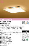 ODELIC ǥå 󥰥饤 OL251479RþʾLEDη¡ʰΡѤ䡡Ҹ -LIGHTING DEPOT-