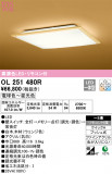 ODELIC ǥå 󥰥饤 OL251480RþʾLEDη¡ʰΡѤ䡡Ҹ -LIGHTING DEPOT-