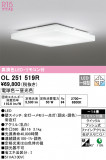 ODELIC ǥå 󥰥饤 OL251519RþʾLEDη¡ʰΡѤ䡡Ҹ -LIGHTING DEPOT-