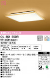 ODELIC ǥå 󥰥饤 OL251550RþʾLEDη¡ʰΡѤ䡡Ҹ -LIGHTING DEPOT-