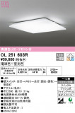 ODELIC ǥå 󥰥饤 OL251603RþʾLEDη¡ʰΡѤ䡡Ҹ -LIGHTING DEPOT-