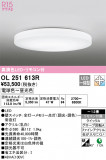 ODELIC ǥå 󥰥饤 OL251613RþʾLEDη¡ʰΡѤ䡡Ҹ -LIGHTING DEPOT-