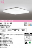 ODELIC ǥå 󥰥饤 OL251615RþʾLEDη¡ʰΡѤ䡡Ҹ -LIGHTING DEPOT-