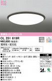 ODELIC ǥå 󥰥饤 OL251619RþʾLEDη¡ʰΡѤ䡡Ҹ -LIGHTING DEPOT-