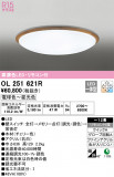 ODELIC ǥå 󥰥饤 OL251621RþʾLEDη¡ʰΡѤ䡡Ҹ -LIGHTING DEPOT-