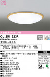 ODELIC ǥå 󥰥饤 OL251623RþʾLEDη¡ʰΡѤ䡡Ҹ -LIGHTING DEPOT-