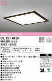 ODELIC ǥå 󥰥饤 OL251625RþʾLEDη¡ʰΡѤ䡡Ҹ -LIGHTING DEPOT-