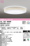 ODELIC ǥå 󥰥饤 OL251669RþʾLEDη¡ʰΡѤ䡡Ҹ -LIGHTING DEPOT-