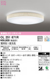 ODELIC ǥå 󥰥饤 OL251671RþʾLEDη¡ʰΡѤ䡡Ҹ -LIGHTING DEPOT-