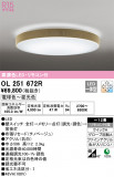 ODELIC ǥå 󥰥饤 OL251672RþʾLEDη¡ʰΡѤ䡡Ҹ -LIGHTING DEPOT-