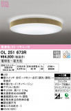 ODELIC ǥå 󥰥饤 OL251673RþʾLEDη¡ʰΡѤ䡡Ҹ -LIGHTING DEPOT-