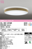 ODELIC ǥå 󥰥饤 OL251674RþʾLEDη¡ʰΡѤ䡡Ҹ -LIGHTING DEPOT-