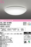 ODELIC ǥå 󥰥饤 OL251816RþʾLEDη¡ʰΡѤ䡡Ҹ -LIGHTING DEPOT-