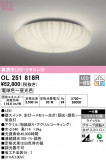 ODELIC ǥå 󥰥饤 OL251818RþʾLEDη¡ʰΡѤ䡡Ҹ -LIGHTING DEPOT-