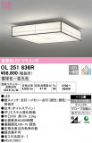 ODELIC ǥå 󥰥饤 OL251836RþʾLEDη¡ʰΡѤ䡡Ҹ -LIGHTING DEPOT-