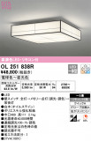 ODELIC ǥå 󥰥饤 OL251838RþʾLEDη¡ʰΡѤ䡡Ҹ -LIGHTING DEPOT-