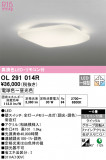 ODELIC ǥå 󥰥饤 OL291014RþʾLEDη¡ʰΡѤ䡡Ҹ -LIGHTING DEPOT-