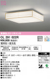 ODELIC ǥå 󥰥饤 OL291022RþʾLEDη¡ʰΡѤ䡡Ҹ -LIGHTING DEPOT-