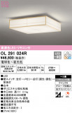 ODELIC ǥå 󥰥饤 OL291024RþʾLEDη¡ʰΡѤ䡡Ҹ -LIGHTING DEPOT-