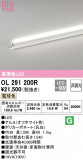 ODELIC ǥå Ѵܾ OL291200RþʾLEDη¡ʰΡѤ䡡Ҹ -LIGHTING DEPOT-