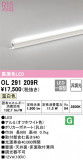 ODELIC ǥå Ѵܾ OL291209RþʾLEDη¡ʰΡѤ䡡Ҹ -LIGHTING DEPOT-