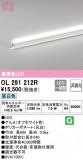 ODELIC ǥå Ѵܾ OL291212RþʾLEDη¡ʰΡѤ䡡Ҹ -LIGHTING DEPOT-