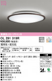 ODELIC ǥå 󥰥饤 OL291319RþʾLEDη¡ʰΡѤ䡡Ҹ -LIGHTING DEPOT-