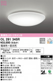 ODELIC ǥå 󥰥饤 OL291345RþʾLEDη¡ʰΡѤ䡡Ҹ -LIGHTING DEPOT-