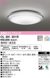 ODELIC ǥå 󥰥饤 OL291351RþʾLEDη¡ʰΡѤ䡡Ҹ -LIGHTING DEPOT-