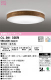 ODELIC ǥå 󥰥饤 OL291355RþʾLEDη¡ʰΡѤ䡡Ҹ -LIGHTING DEPOT-