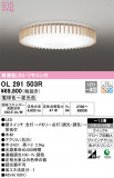 ODELIC ǥå 󥰥饤 OL291503RþʾLEDη¡ʰΡѤ䡡Ҹ -LIGHTING DEPOT-