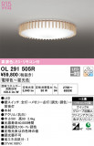 ODELIC ǥå 󥰥饤 OL291505RþʾLEDη¡ʰΡѤ䡡Ҹ -LIGHTING DEPOT-