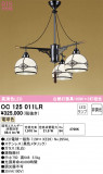 ODELIC ǥå ڥȥ饤 OC125011LRþʾLEDη¡ʰΡѤ䡡Ҹ -LIGHTING DEPOT-