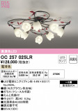 ODELIC ǥå ǥꥢ OC257025LRþʾLEDη¡ʰΡѤ䡡Ҹ -LIGHTING DEPOT-