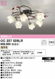 ODELIC ǥå ǥꥢ OC257026LRþʾLEDη¡ʰΡѤ䡡Ҹ -LIGHTING DEPOT-