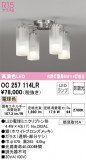 ODELIC ǥå ǥꥢ OC257114LRþʾLEDη¡ʰΡѤ䡡Ҹ -LIGHTING DEPOT-