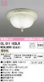 ODELIC ǥå 󥰥饤 OL011103LRþʾLEDη¡ʰΡѤ䡡Ҹ -LIGHTING DEPOT-