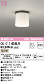 ODELIC ǥå 󥰥饤 OL013008LRþʾLEDη¡ʰΡѤ䡡Ҹ -LIGHTING DEPOT-