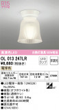 ODELIC ǥå 󥰥饤 OL013247LRþʾLEDη¡ʰΡѤ䡡Ҹ -LIGHTING DEPOT-