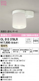 ODELIC ǥå 󥰥饤 OL013379LRþʾLEDη¡ʰΡѤ䡡Ҹ -LIGHTING DEPOT-