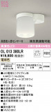 ODELIC ǥå 󥰥饤 OL013380LRþʾLEDη¡ʰΡѤ䡡Ҹ -LIGHTING DEPOT-