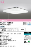 ODELIC ǥå 󥰥饤 OL251409NRþʾLEDη¡ʰΡѤ䡡Ҹ -LIGHTING DEPOT-