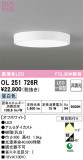 ODELIC ǥå 󥰥饤 OL251726RþʾLEDη¡ʰΡѤ䡡Ҹ -LIGHTING DEPOT-