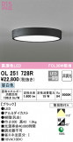 ODELIC ǥå 󥰥饤 OL251728RþʾLEDη¡ʰΡѤ䡡Ҹ -LIGHTING DEPOT-