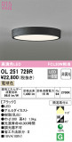 ODELIC ǥå 󥰥饤 OL251729RþʾLEDη¡ʰΡѤ䡡Ҹ -LIGHTING DEPOT-